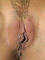 Tonys Amateurs 21