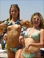 Wild Girls 5