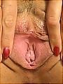A brunette undressing and spreading